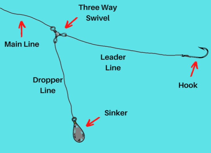 best fishing rig for beginners