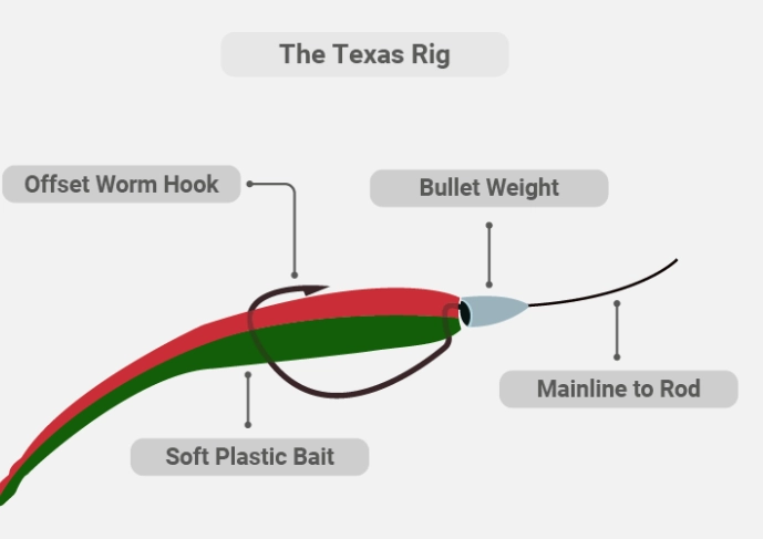versatile fishing setup