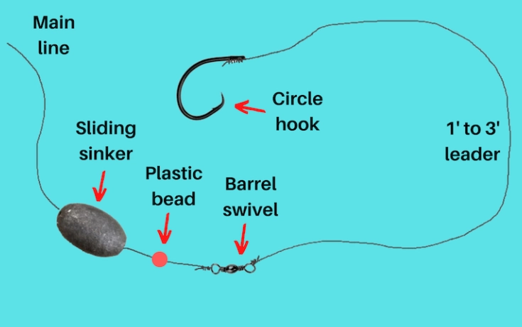 best fishing rig for beginners