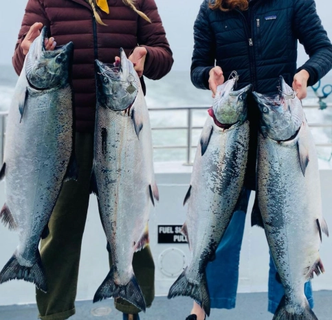 San Francisco Bay fishing trips