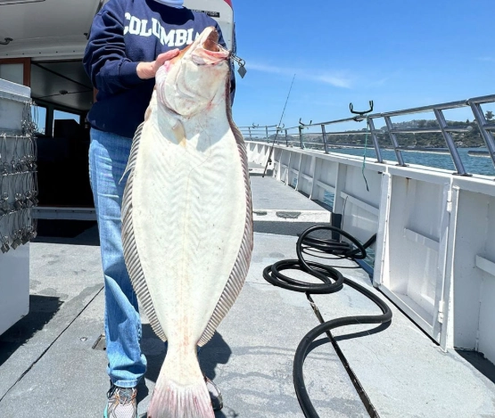 Bay Area fishing charters