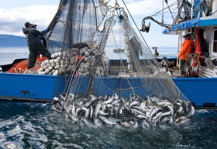 Is fishing declining in popularity?
