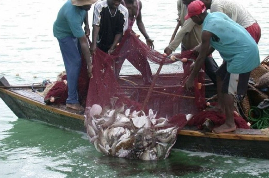 fishing popularity trends fishing popularity trends
