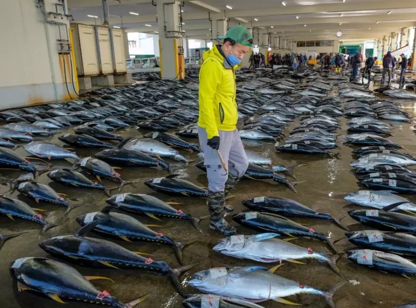 fishing participation statistics fishing participation statistics