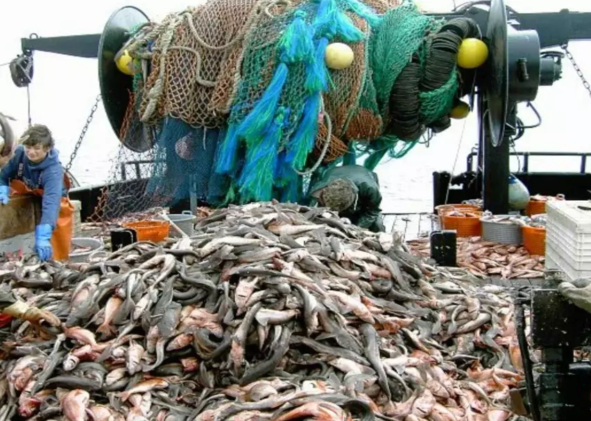 is fishing declining is fishing declining