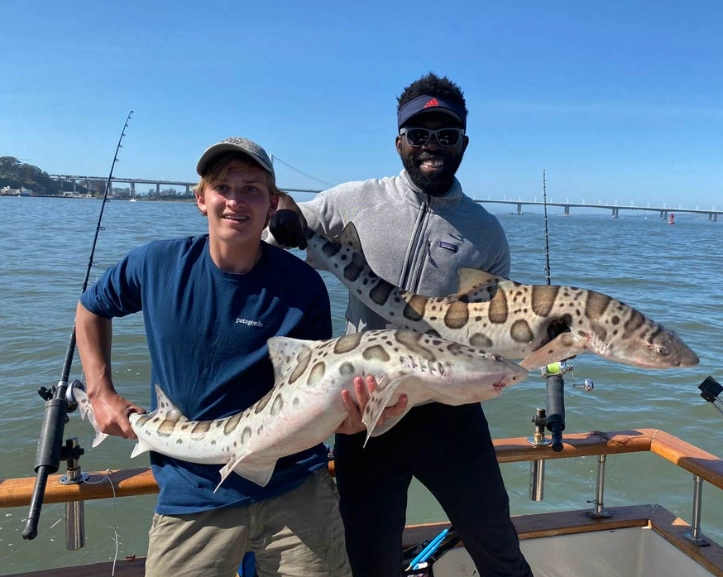 San Francisco Bay fishing trips