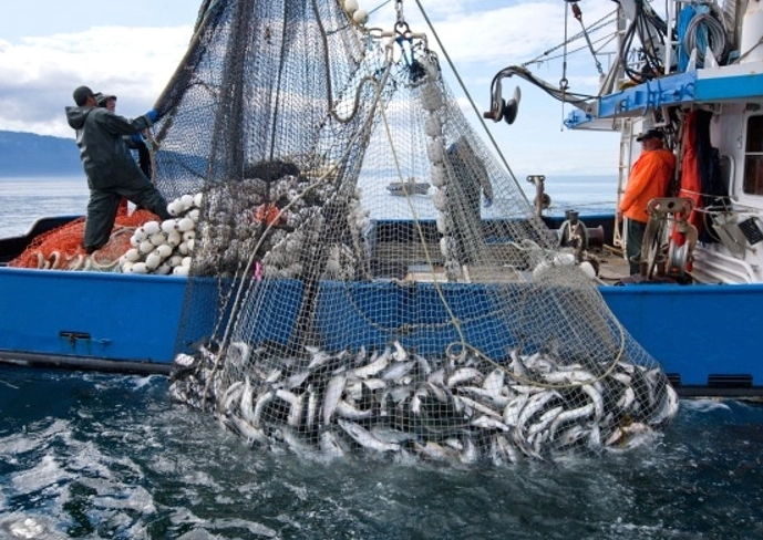 types of fishing