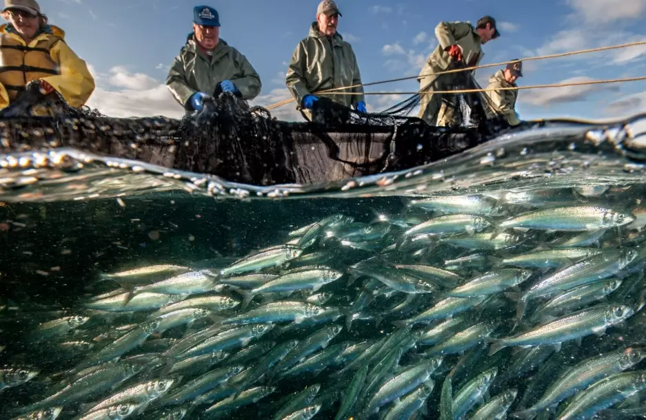 fishing techniques