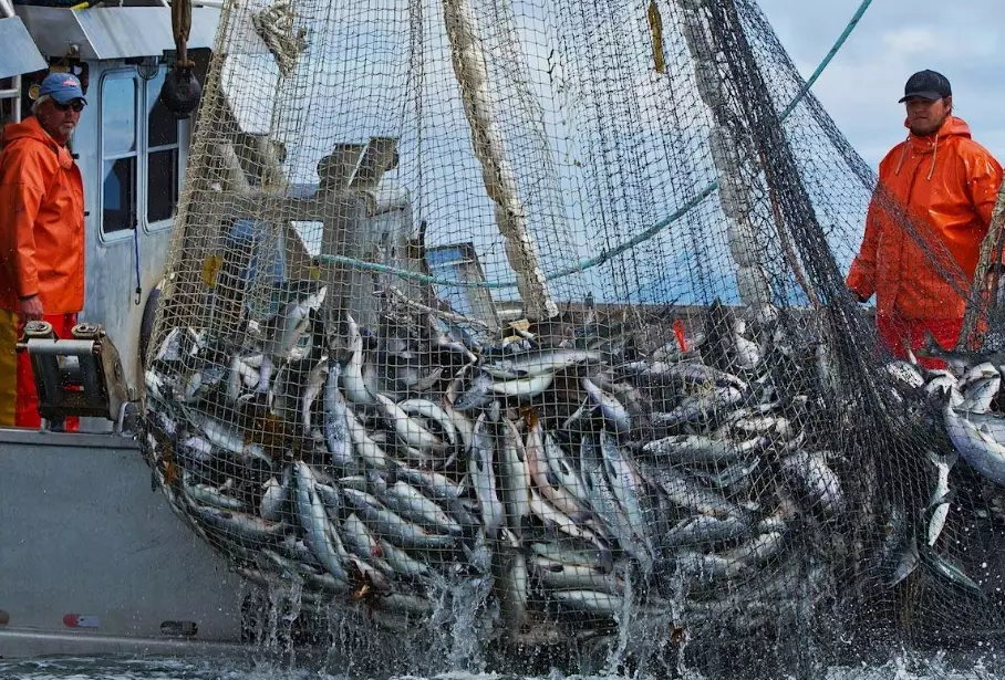 What is the fishing activity?