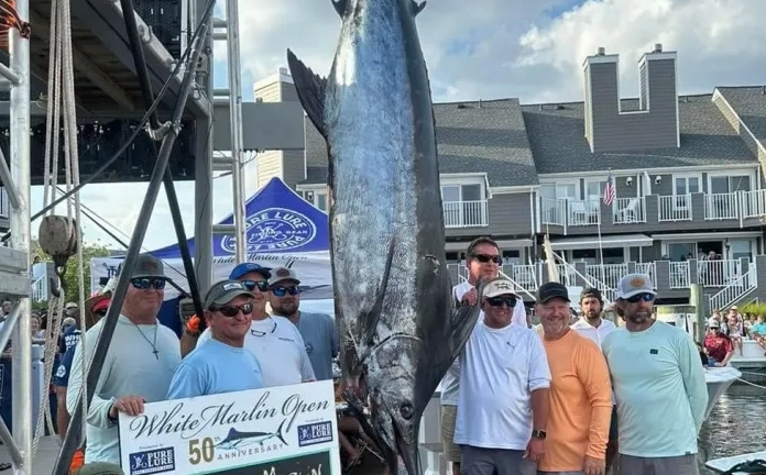 how to enter fishing tournaments