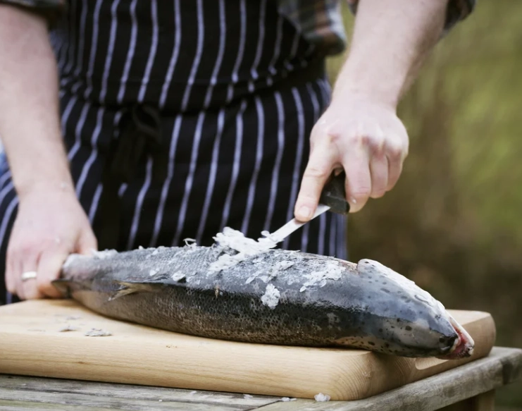 fish scale nutrition